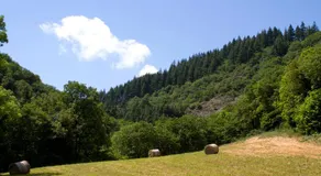 Auberge de Lascours, gîte d'étape pleine nature. - Image 5