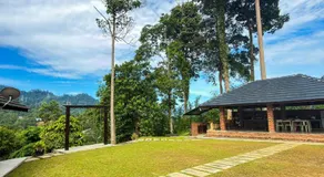 Jebat D'Manggis Janda Baik - Mountain View - Image 3