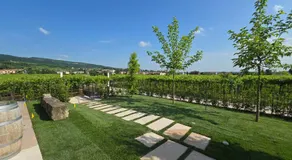 Agriturismo Igino - Camere fra Vigneti della Valpolicella - Image 4