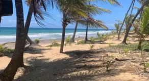 Cabana Família Coruja - Image 3