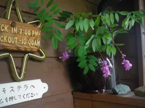 Pension Stella - Image 5