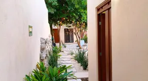 Villa Lara Palacios, tu oasis en Mérida - Image 5