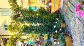 B&B Peschi in Fiore - Image 5