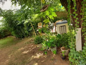 Royal Garden Stay - Image 4