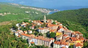 Villa Yucca Istra - Image 5