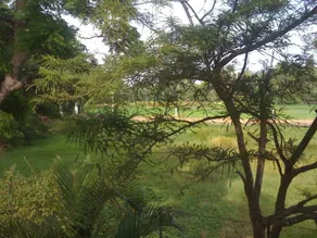 Nilketha Villa Eco Hotel - Image 4