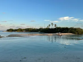 La Isla Tropica - Image 4