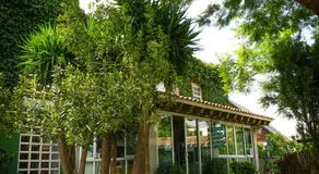 La Casa Verde - Image 3
