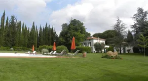 Ghiaccio Bosco - Image 5