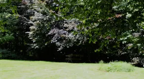 Calme et verdure 9 - Image 4