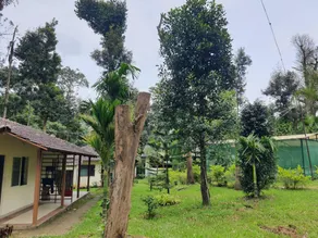 Naturefresh homestay, - Image 2
