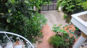 Moon house tropical garden - Coconut - Image 3