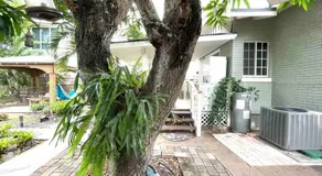 Independent Studio in Little Havana - Image 4