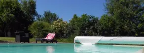 le petit abre a prunier - Image 1