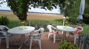 Pension zur alten Weide im Oderbruch - Image 3