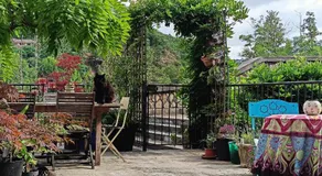 La Maison Des Artistes - Image 3