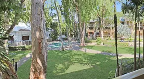 Amphora Laleuca Apartments Palm Cove - Image 3