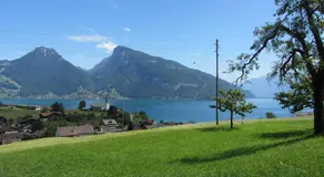 Bahnhöfli Faulensee - Image 5