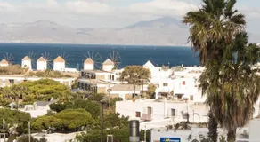 Olympia - Image 4