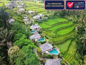 One BR Villa w/ Infinity Plunge Pool + FreeBenefit - Image 3