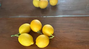 Lemon house - Image 5