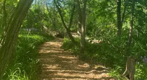 Murphys house 2 - Image 5
