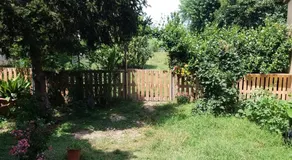 Serendipity - Image 5