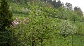 Gästehaus Zum Lamm - Image 4