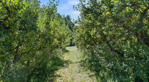 Vånga 771 - Image 5