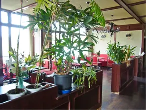 Hitomiso - Image 4