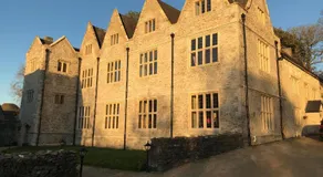 Y Fan - Image 4