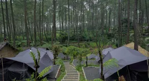 serlok glamping - Image 3