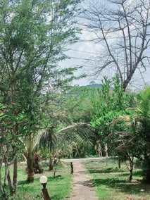 Bamboo House - Image 3