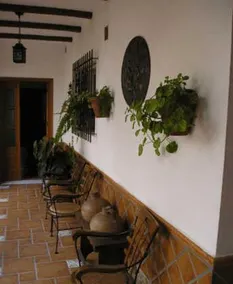 El Perro de Paterna - Image 4