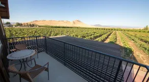 Sequoia View Vineyard - Image 5