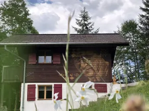La Puce, Chalet - Image 3