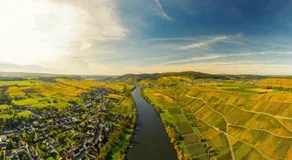Casa Schneider - Urlaub an der Mittelmosel - Image 5