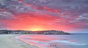 HolidayRento The Palm House North Bondi - Image 3