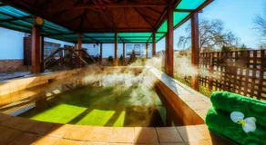 Apollo Wellness Club - Image 3
