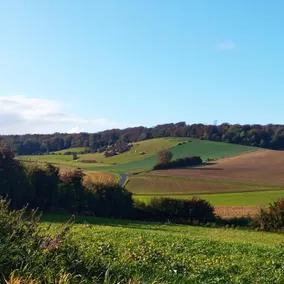 Au pied de la colline - Image 5