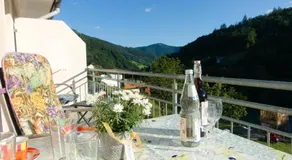 Steiert Panorama Apartments Todtnau - Image 4