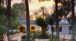 Pink Lemon House - Image 3