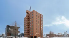 E-US Naebo 203 - Image 2