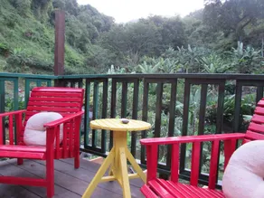 RafJam Bed & Breakfast - Image 3