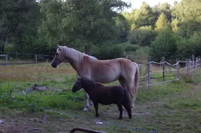 La Estancia - Image 3