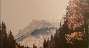Home sweet home - Image 4