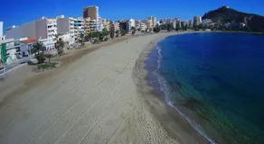 Lecoron - Image 4