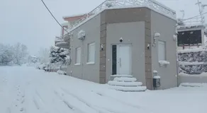Lefis House - Image 4