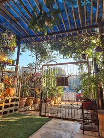 unique & a peaceful cottage with a green patio. - Image 3