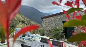 The Garden - Image 5